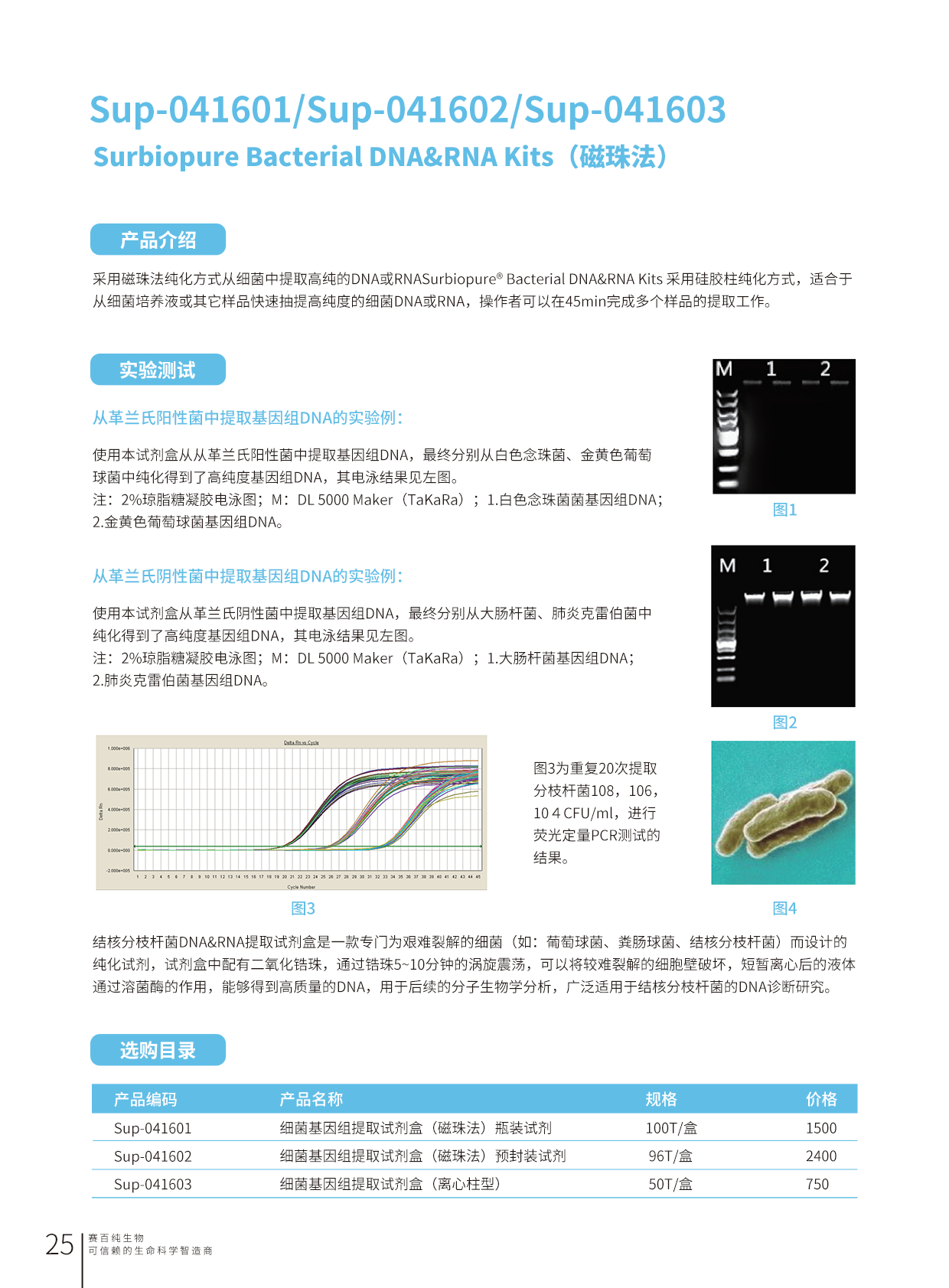 1680751462944547.png 畫板 25.png